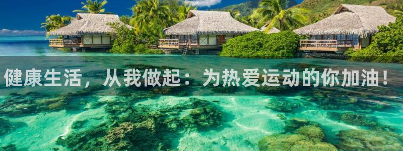 利记官方正版app科技:健康生活,从我做起:为热爱运动的你加