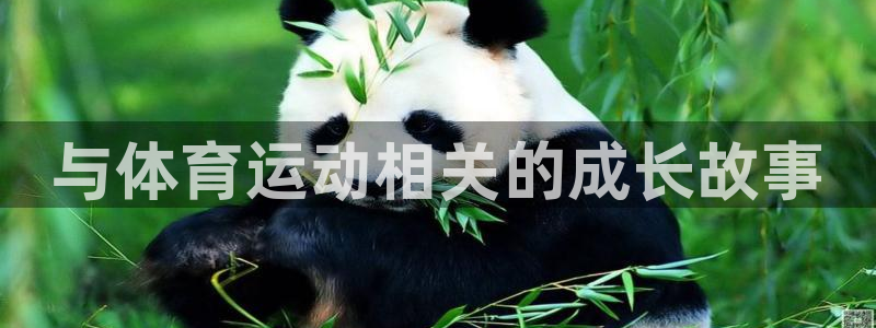 利记官网下载开户:与体育运动相关的成长故事