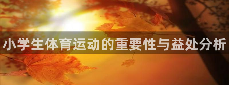 利记官方正版app官网:小学生体育运动的重要性与益处分析