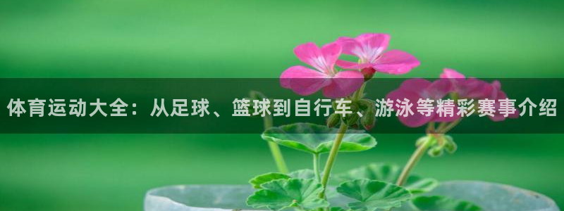 利记官网下载平台假的吗是真的吗吗:体育运动大全:从足球、篮球