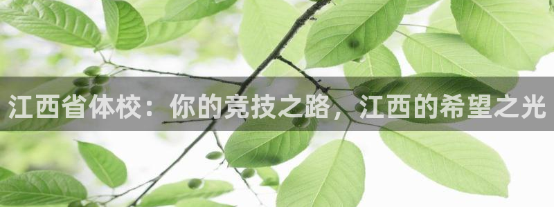 利记官网下载平台APP:江西省体校:你的竞技之路,江西的希望